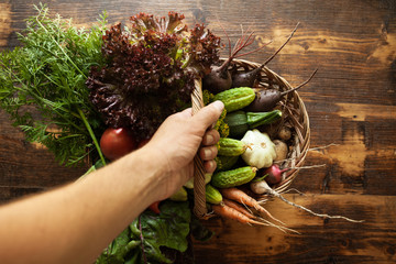 Wall Mural - Fresh organic raw vegetable food. Natural agriculture farm, healthy harvest.