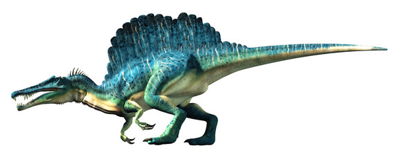 Aufkleber - A spinosaurus on a white background. Spinosaurus was semi-aquatic dinosaur from the Cretaceous period. It was one of the largest carnivorous dinos.  3D Rendering