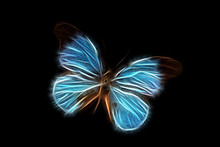 Fractal Image Of A Blue Tropical Butterfly On A Contrasting Black Background