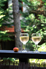 rose wine drink, in a glass, couple of glasses, apricot on a wooden railing nature background