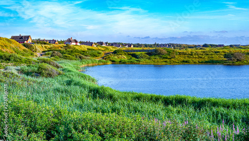 Fotomural Jutland ancient architectures and wild landscapes