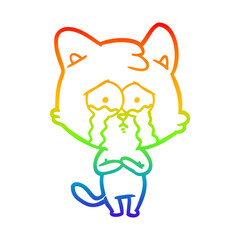 rainbow gradient line drawing cartoon crying cat