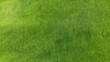 Leinwandbild Motiv Aerial. Green grass texture background. Top view from drone.