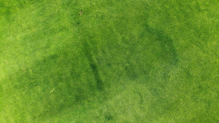 Aerial. Green grass texture background. Top view from drone.