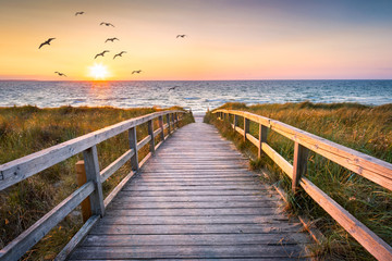 Wall Mural - beautiful beach with dunes at sunset, germany