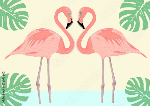 flamingo couple illustration