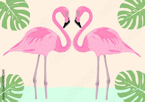 flamingoes