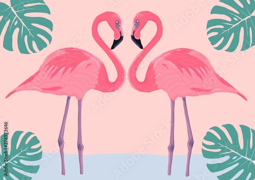 flamingoes