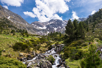 Wall Mural - Landscape of the Nature Reserve of Neouville in France, Hautes Pyrenees.