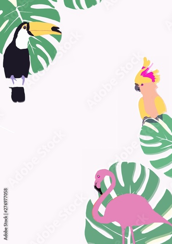 illustration of a bird