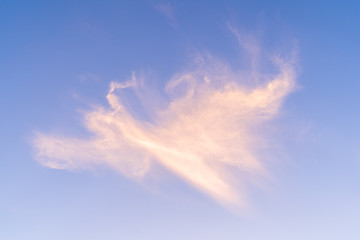 Cloud structure at sky like a angel