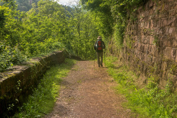 hike along the long-distance hiking trail neckarsteig in germany