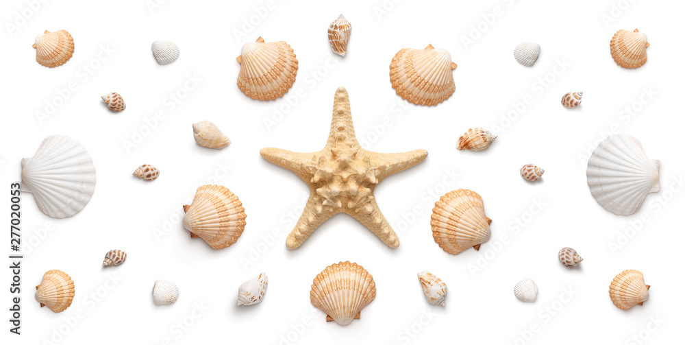 High angle, panoramic view of starfish and seashells isolated on white background - obrazy, fototapety, plakaty 