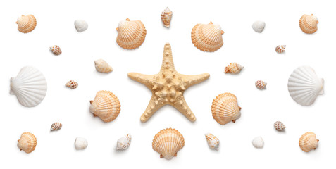 High angle, panoramic view of starfish and seashells isolated on white background