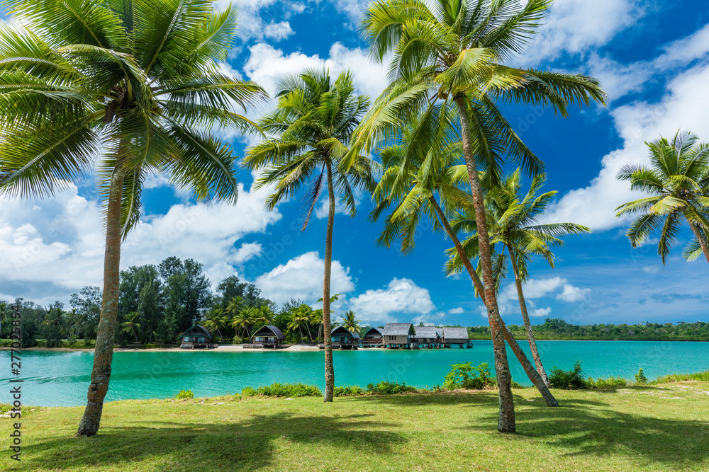 Tropical resort destination in Port Vila, Efate Island, Vanuatu, beach and palm trees - obrazy, fototapety, plakaty 