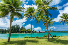 Tropical Resort Destination In Port Vila, Efate Island, Vanuatu, Beach And Palm Trees