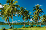 Fototapeta Do akwarium - Tropical resort destination in Port Vila, Efate Island, Vanuatu, beach and palm trees