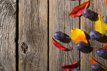 Canvas Print - plums and color autumn leaves on old wood table