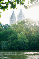 Wall Mural - Nature forest 