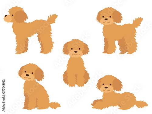 プードルの全身イラストセット 立つ おすわり ふせ Animal Wall Mural Anim Nora Hachio