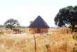 a hut of Shona people