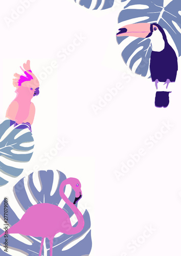 illustration of a bird in background