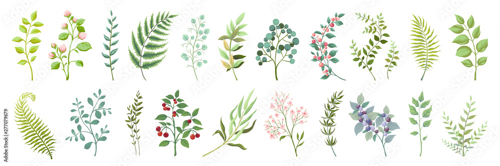 Botanic elements. Trendy wild flowers and branches, plants and leaves green collection. Vector vintage drawing watercolor greenery illustration floral bouquet - obrazy, fototapety, plakaty 