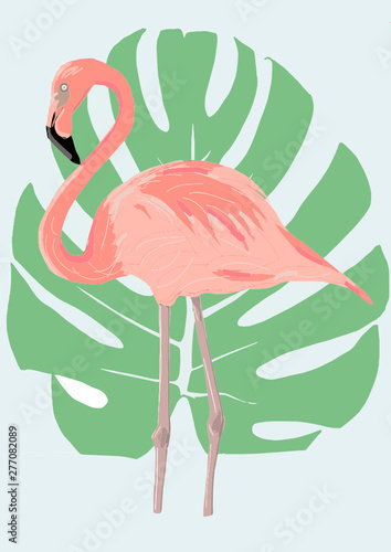 illustration of flamingo. flamingo with leaf vector