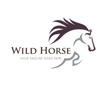 Creative Horse Elegant Logo Symbol Design Illustration Vector For Company