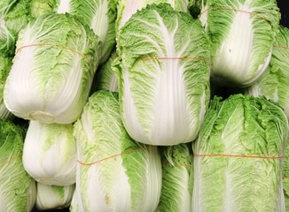 Wall Mural - Stacking Chinese cabbage in pile in harvest season