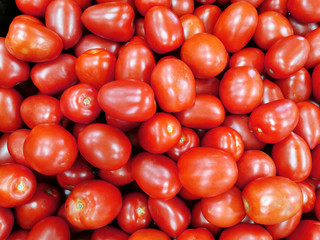 fresh farm picked tomatoes as food background