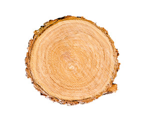 Wall Mural - tree trunk slice cut from the woods. textured surface with rings and cracks. neutral brown backgroun