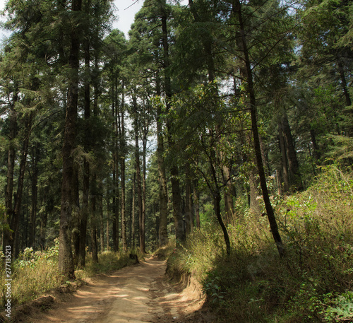 Photographie La Marquesa National Park, with the official name Parque Nacional Insurgente Miguel Hidalgo y Costilla is a National park in the State of Mexico, in central Mexico