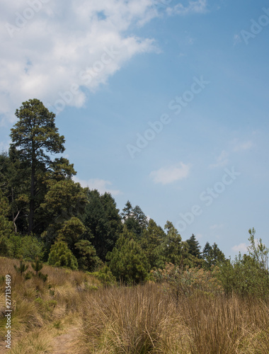 Photographie La Marquesa National Park, with the official name Parque Nacional Insurgente Miguel Hidalgo y Costilla is a National park in the State of Mexico, in central Mexico