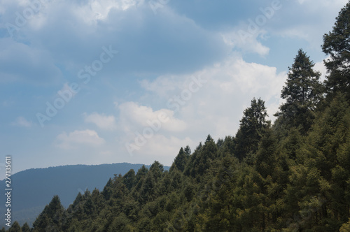 La Marquesa National Park, with the official name Parque Nacional Insurgente Miguel Hidalgo y Costilla is a National park in the State of Mexico, in central Mexico Poster Mural XXL
