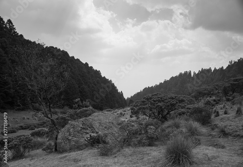 La Marquesa National Park, with the official name Parque Nacional Insurgente Miguel Hidalgo y Costilla is a National park in the State of Mexico, in central Mexico Tableau sur Toile