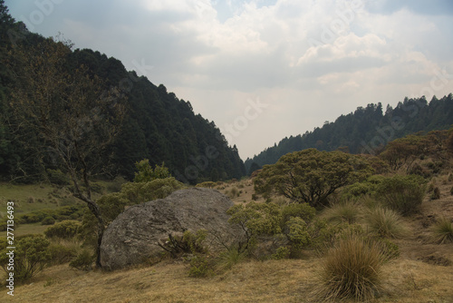 Photographie La Marquesa National Park, with the official name Parque Nacional Insurgente Miguel Hidalgo y Costilla is a National park in the State of Mexico, in central Mexico