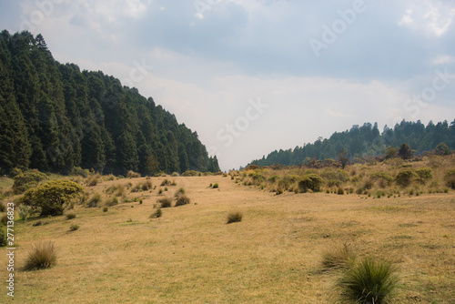 La Marquesa National Park, with the official name Parque Nacional Insurgente Miguel Hidalgo y Costilla is a National park in the State of Mexico, in central Mexico Poster Mural XXL