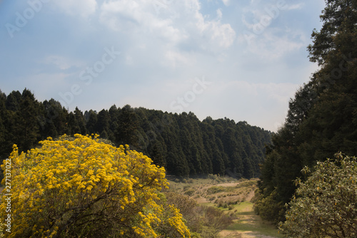 Photographie La Marquesa National Park, with the official name Parque Nacional Insurgente Miguel Hidalgo y Costilla is a National park in the State of Mexico, in central Mexico