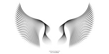Abstract Symmetry Wings Line Isolated On White Background. Vector Illustration In Concept Of Freedom.