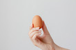 Hand holding egg on white background.