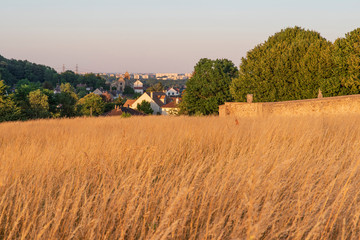 Field cultivated with a city in the distance on the horizon