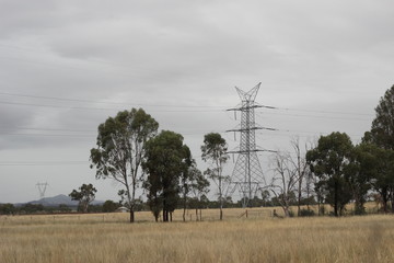 panoramic views looking up at tall towering high energy electrical overhead power transmission towers looming high over native Australian trees and flora on a cloudy day, rural Australia