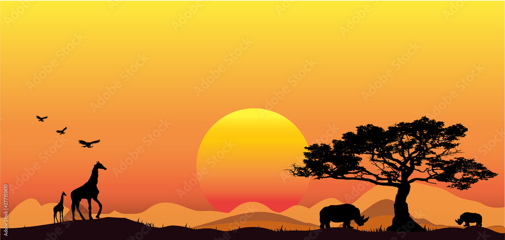 Amazing sunset and sunrise.Panorama silhouette tree in africa with sunset.Tree silhouetted against a setting sun.Dark tree on open field dramatic sunrise.Safari theme.Giraffes , Lion , Rhino. - obrazy, fototapety, plakaty 