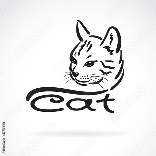 Vector Of Freehand Cat Head Painting On White Background Pet