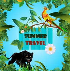 Wall Mural - Summer Time Holiday and travel illustration with toucano and panther on jungle wood background. Tropical floral frame with night sky. Design template