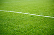 © Sergey Mironov - Photo of green soccer field with white stripe,