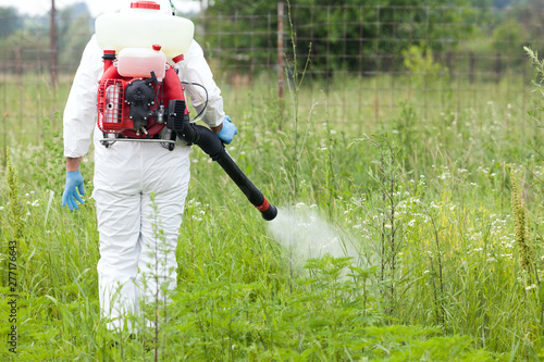 Photographie Man in protective workwear spraying herbicide on ragweed
