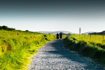 Wall Mural - A love couple walking to the famous light house in the famous sand dunes. Rubjerg Knude Lighthouse, Lønstrup in North Jutland in Denmark, Skagerrak, North Sea