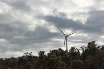 panoramic views of multiple windmills at a modern wind farm built on a green hill on a sunny blue sky cloudy day, Rurul Victoria, near Melbourne